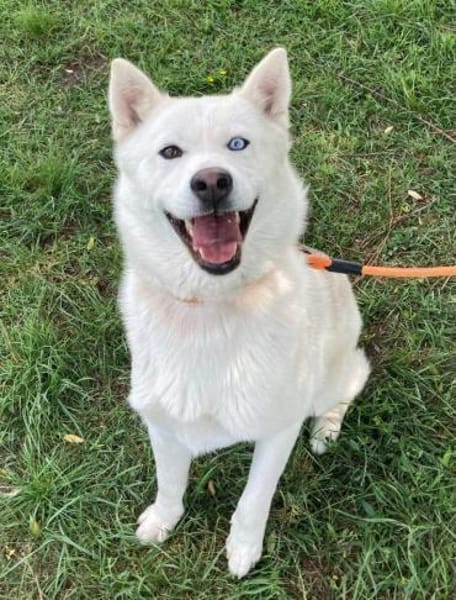 Daisy Snow - Schneekönigin sucht Familie