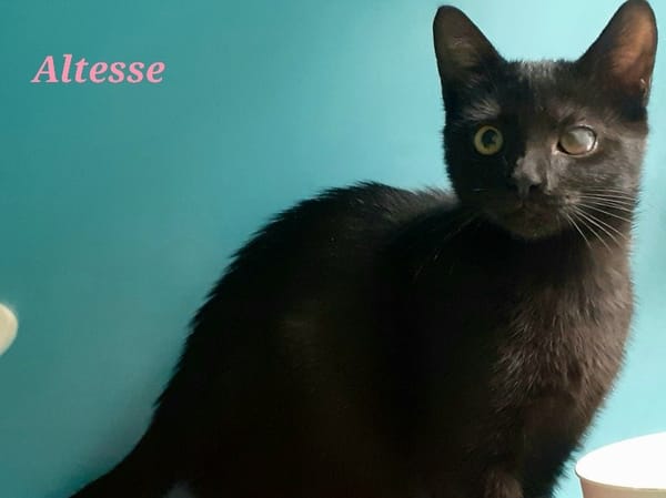 Altesse