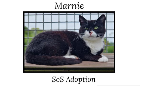 MARNIE
