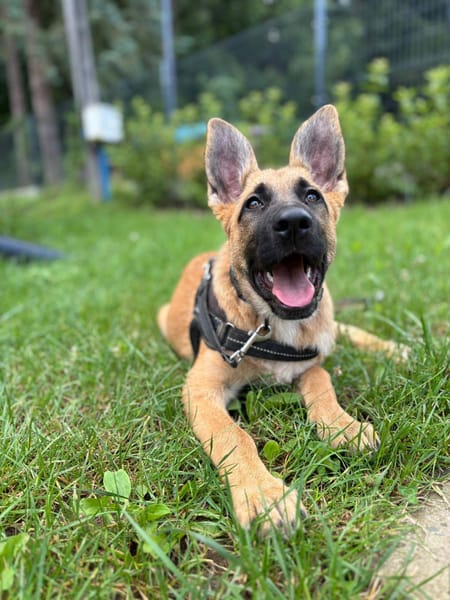 LUNA