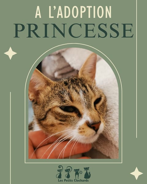 Princesse