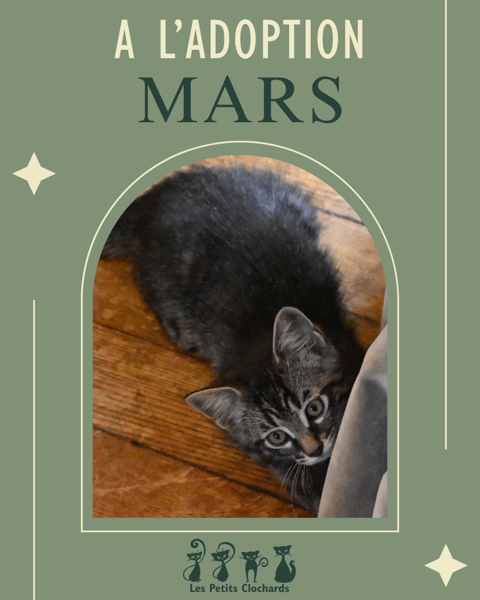 Mars