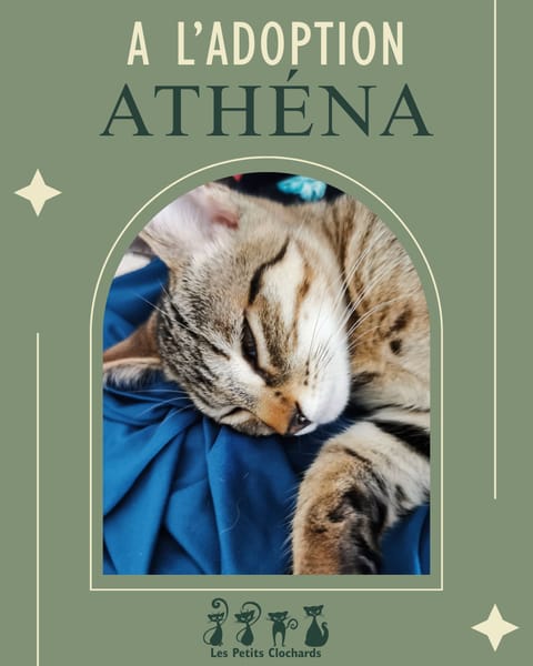 Athéna