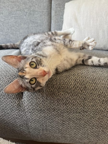 Ruby