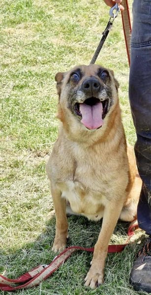 RUBY in 91616 Neusitz 🆘🆘🆘🆘🆘🆘🆘🆘