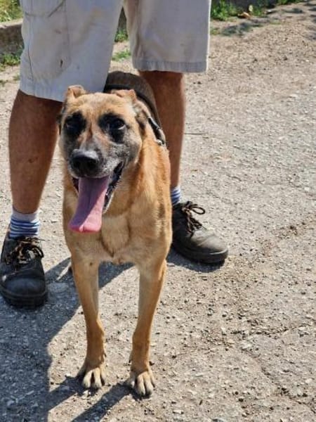 RUBY in 91616 Neusitz 🆘🆘🆘🆘🆘🆘🆘🆘
