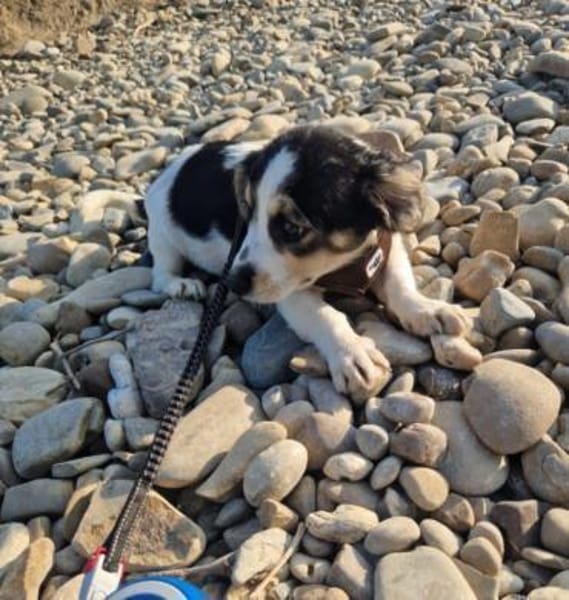kleine Leni sucht ihre Menschen 🥰