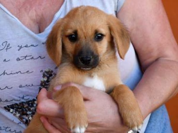 Alberto sucht seine Familie
