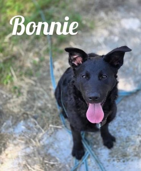 Die Youngsters sind los - Bonnie!