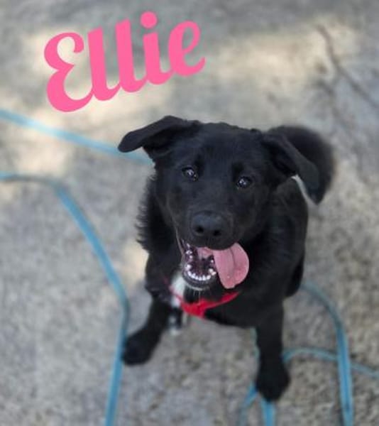 Die Youngsters sind los - Ellie!