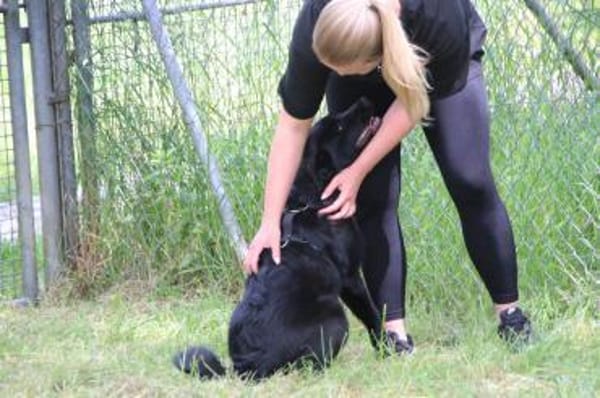 Die Youngsters sind los - Ellie!