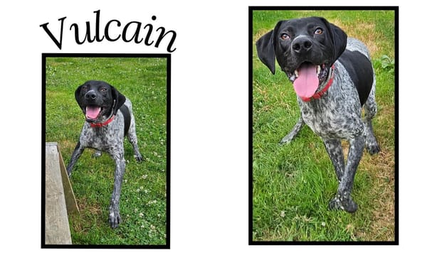 VULCAIN