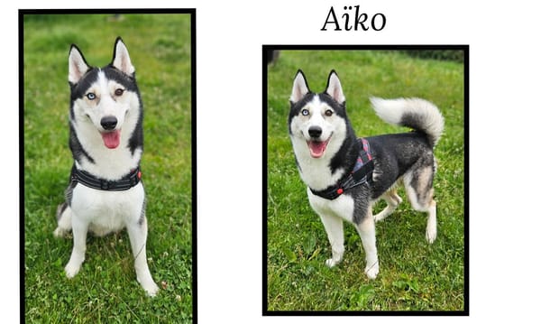 AÏKO