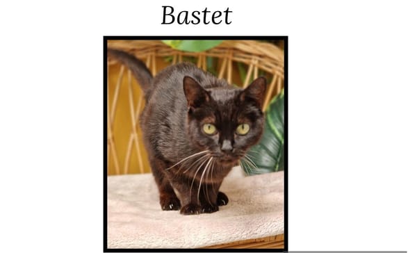 Bastet