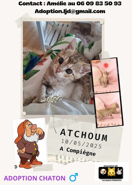 Atchoum
