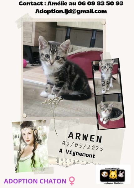 Arwen