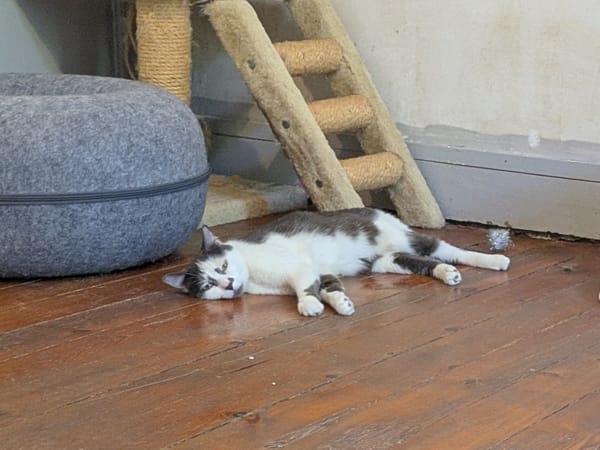 ZITA
