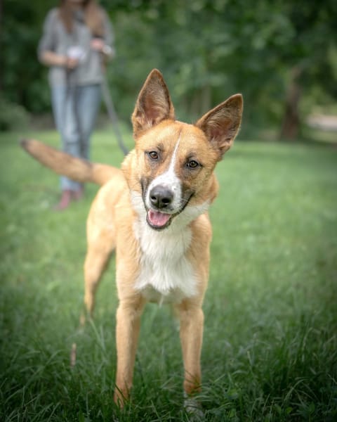 Lulu