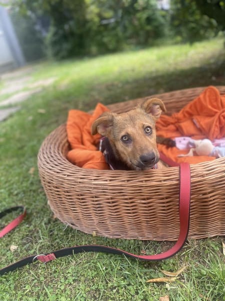 Lia ist in Deutschland