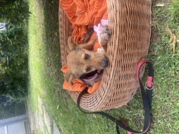 Lia ist in Deutschland