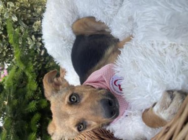 Lia ist in Deutschland