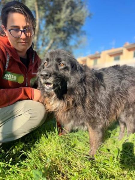 PALU🍀🍀🍀Altersruhesitz gesucht