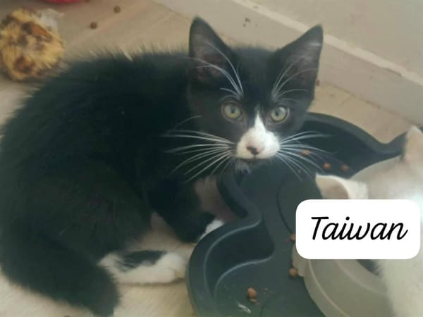 TAIWAN