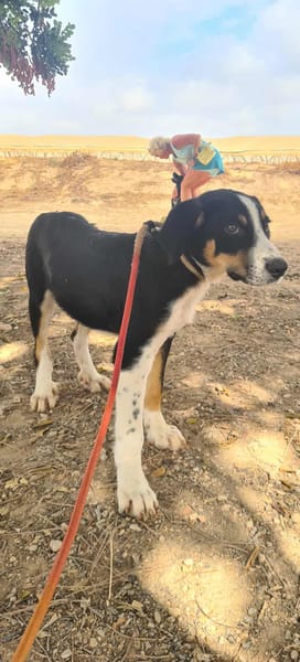 CARLOS (Maria)