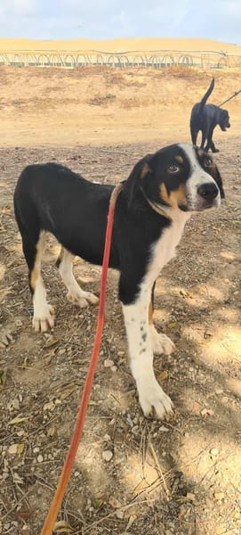 CARLOS (Maria)