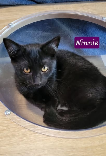 WINNIE
