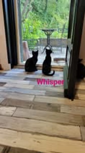 WHISPER