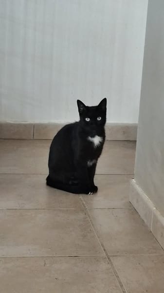 HERA