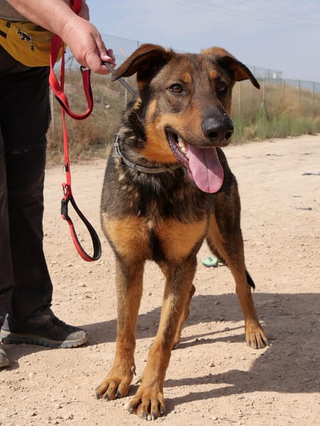 LUPO (Maria)