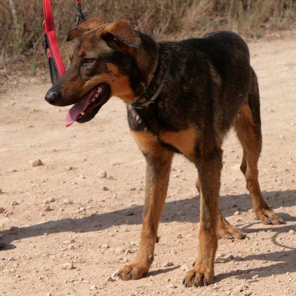 LUPO (Maria)
