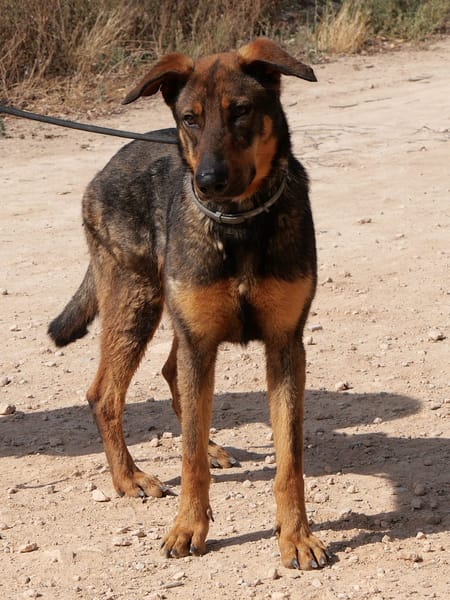 LUPO (Maria)