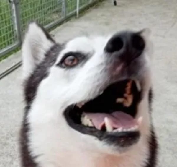 MAEKO