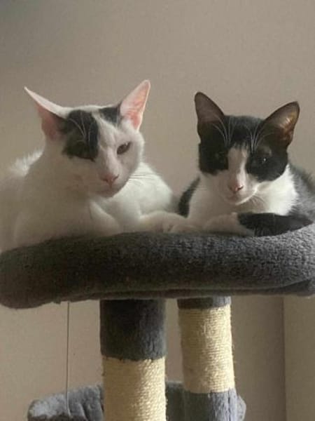 Penny und Pepe