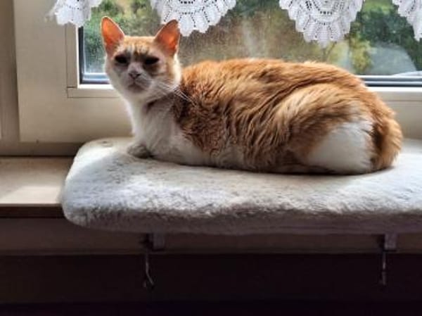 Unsere zarte und verkuschelte Maya