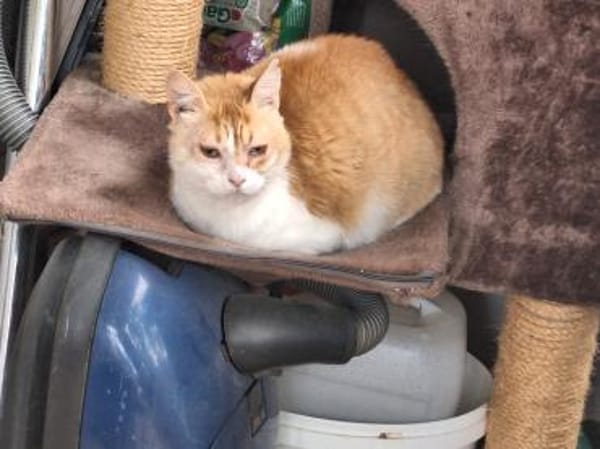 Unsere zarte und verkuschelte Maya