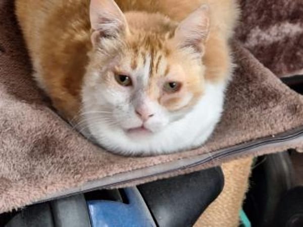 Unsere zarte und verkuschelte Maya