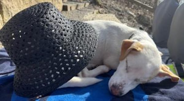 Manolo auf der Suche nach Glück 82284