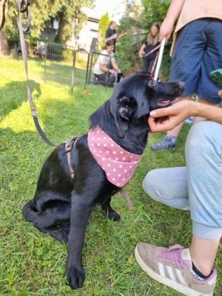 Jara  Kleine Entdeckerin mit Herz
