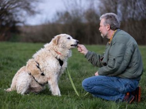 Fido wünscht sich ein eigenes Körbchen