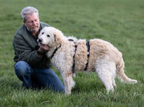 Fido wünscht sich ein eigenes Körbchen