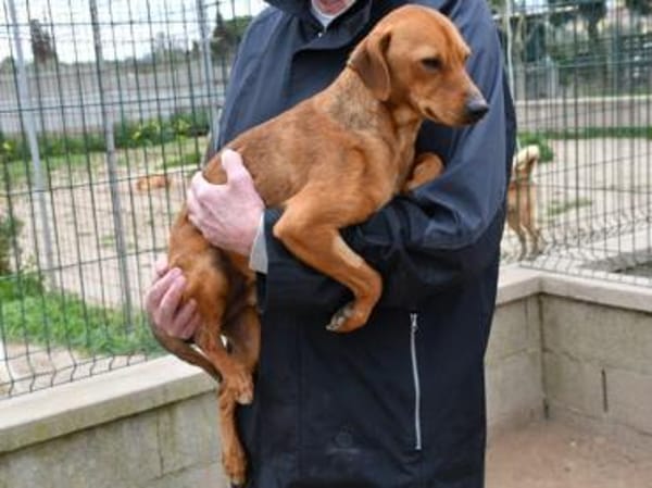Tatu sucht seine Menschen