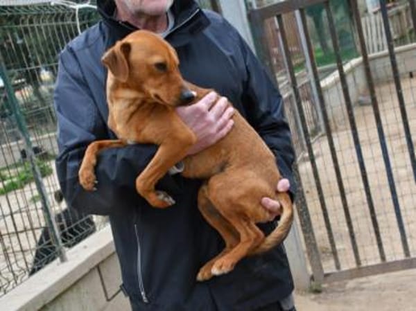 Tatu sucht seine Menschen