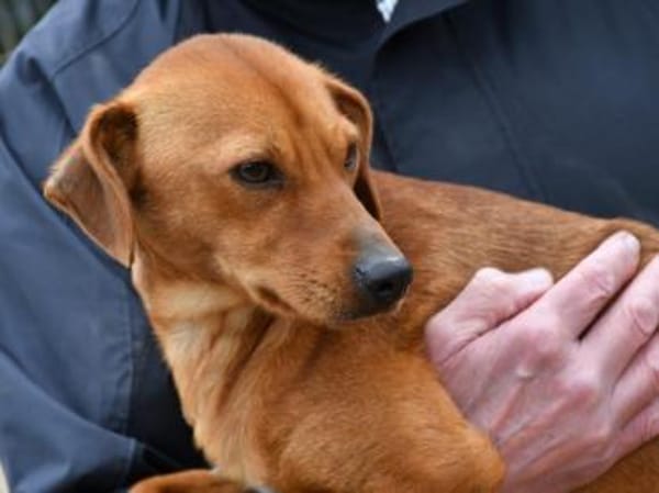Tatu sucht seine Menschen
