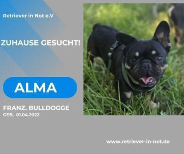Alma-auf der Suche nach ihrem Zuhause
