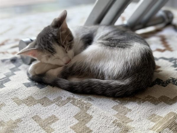 MOCHI