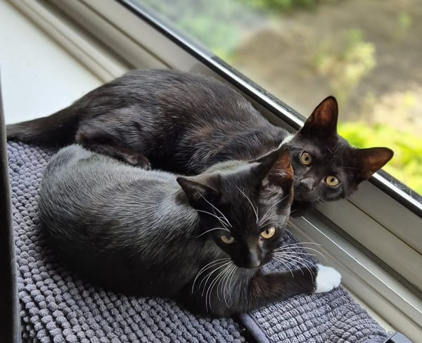 Dori en Lori